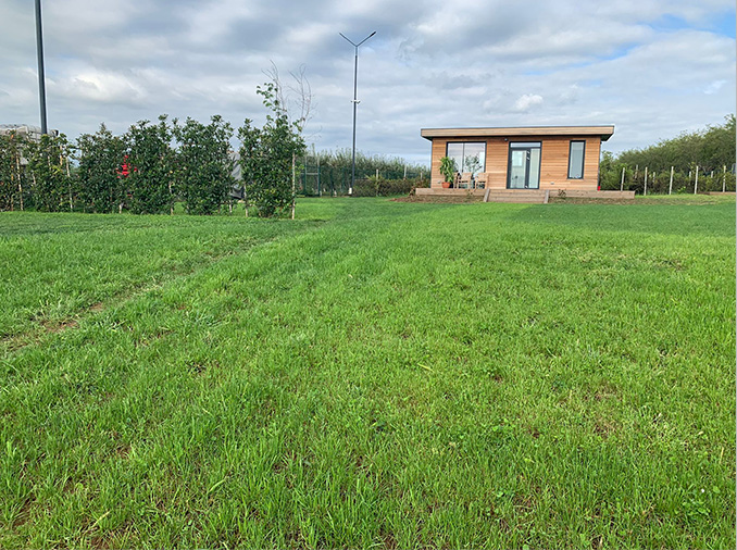gazon in Baicoi