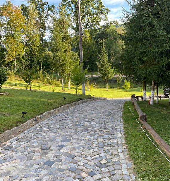 Etape gradinarit Baicoi