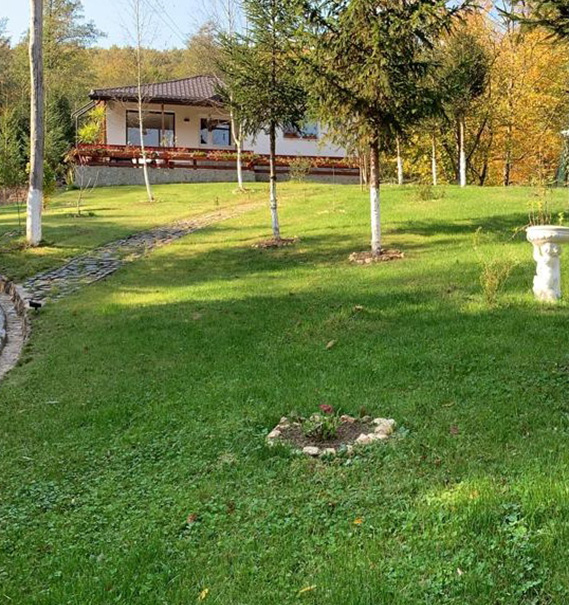 Servicii de gradinarit in Prahova
